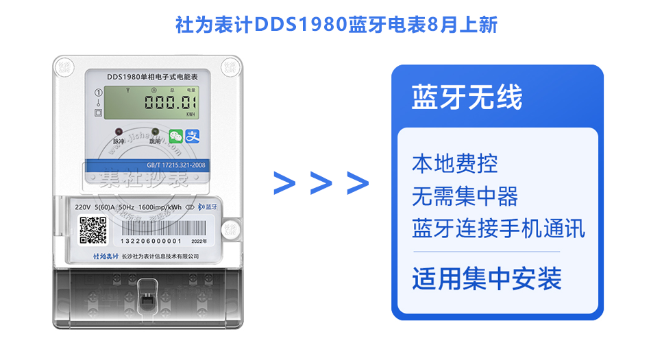 ΪDDS1980